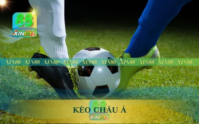 CHƠI KÈO CHÂU Á NHƯ CHUYÊN GIA TRỀN NỀN TẢNG XIN88